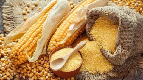 corn flour vs cornstarch battersby