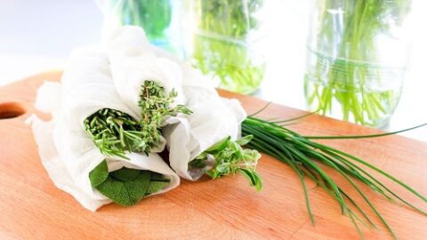 how to store fresh rosemary battersby